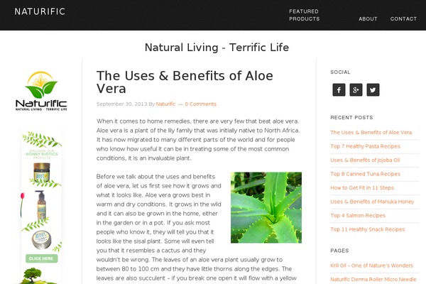 Eleven40 Pro theme site design template sample