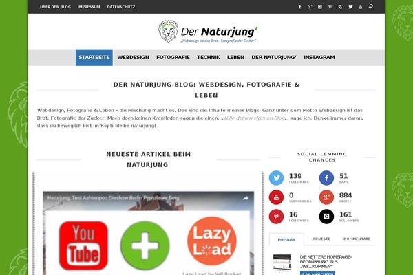 Merlin theme site design template sample