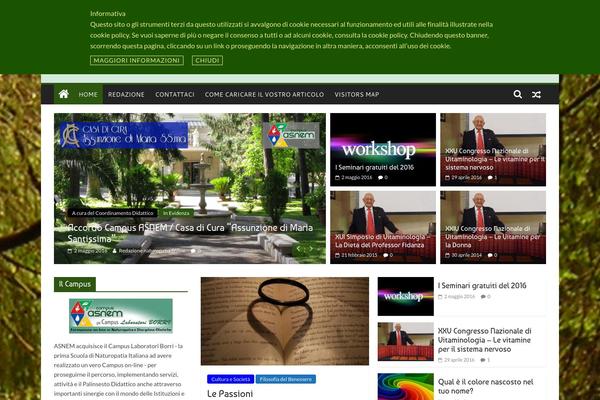 Branfordmagazine theme site design template sample