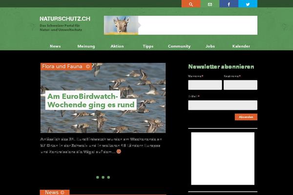 Newspaper Child theme site design template sample