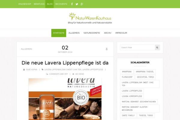 UBlog theme site design template sample