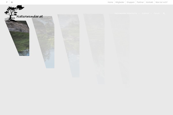 KLEO theme site design template sample