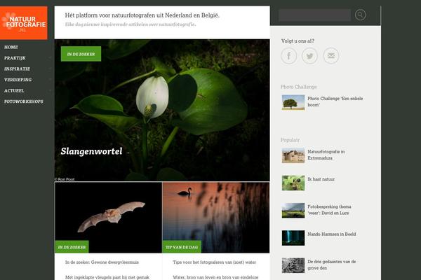 Hello-elementor-child theme site design template sample
