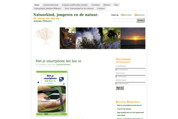 Misty Look theme site design template sample