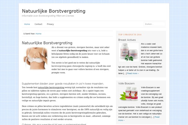 Site using Sassy Social Share plugin