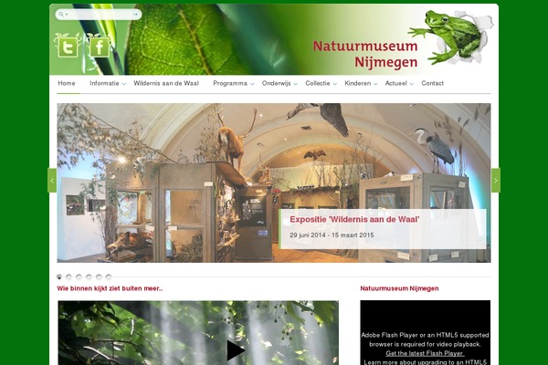 Cloriato theme site design template sample