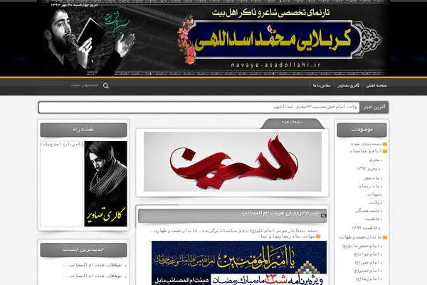 heidarpour theme websites examples