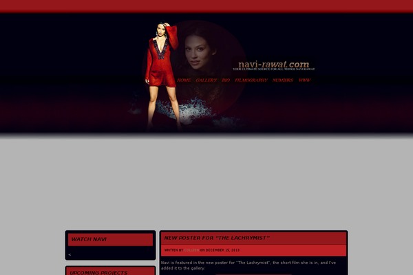 Navi theme site design template sample