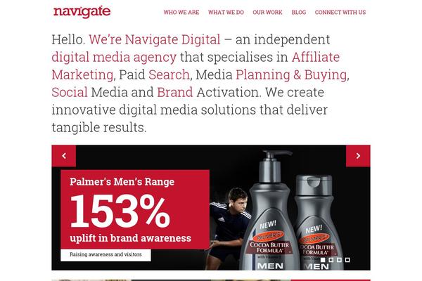 navigate theme websites examples