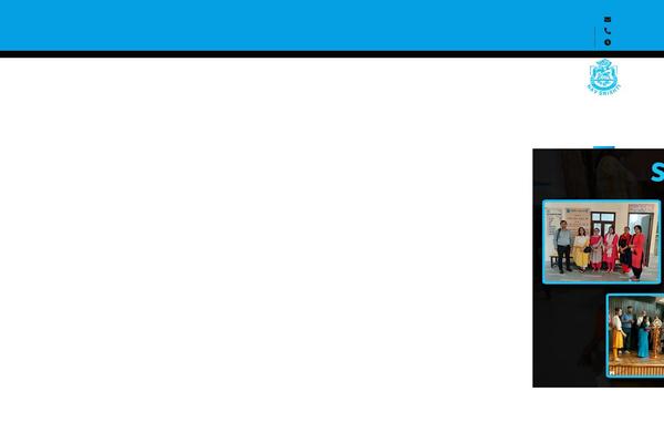 Consultio theme site design template sample