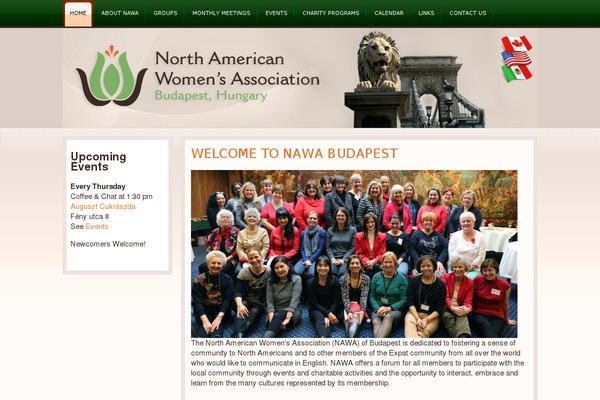 rt_novus_wp theme websites examples