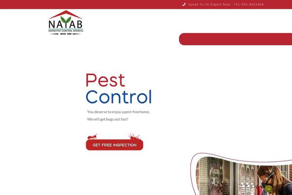 Divi Child theme site design template sample