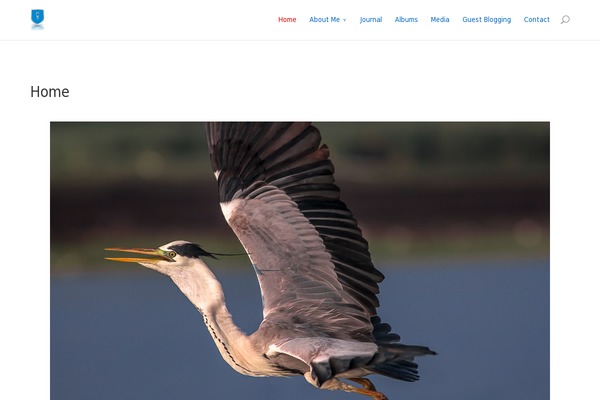 nayanhazra.com site used Cryptocurrency Exchange