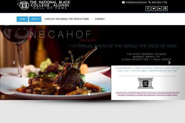 Enigma theme site design template sample