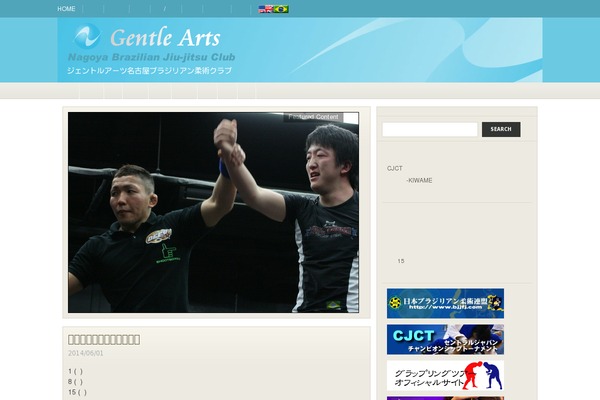 Site using WP Youtube Gallery plugin