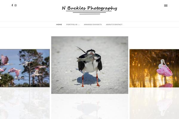 PhotoMe theme site design template sample