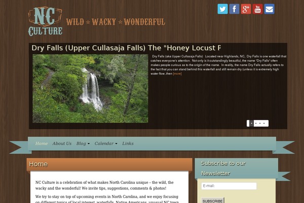 iRibbon theme site design template sample