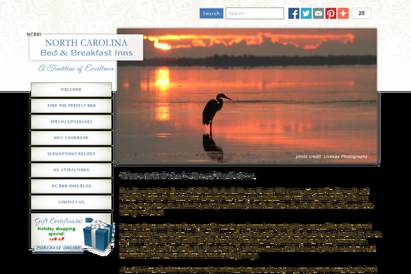 Suits theme site design template sample