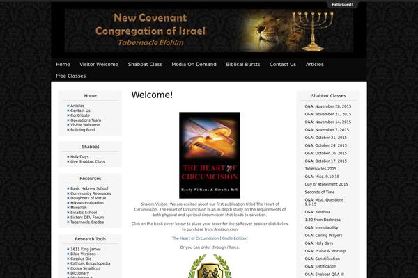 Magazine Premium theme site design template sample