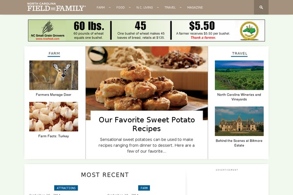Site using Advanced-ads-responsive plugin