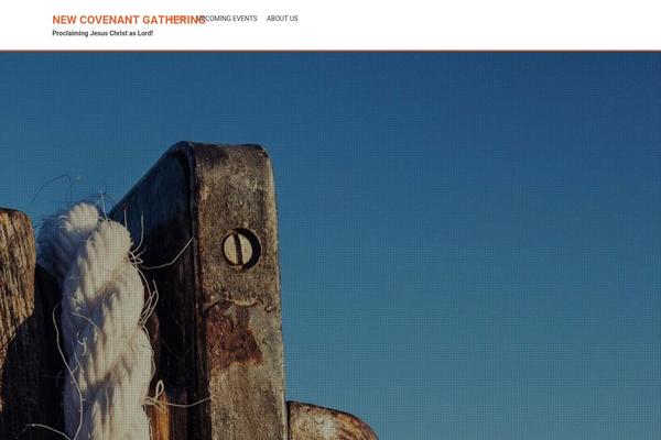 AccessPress Parallax theme site design template sample