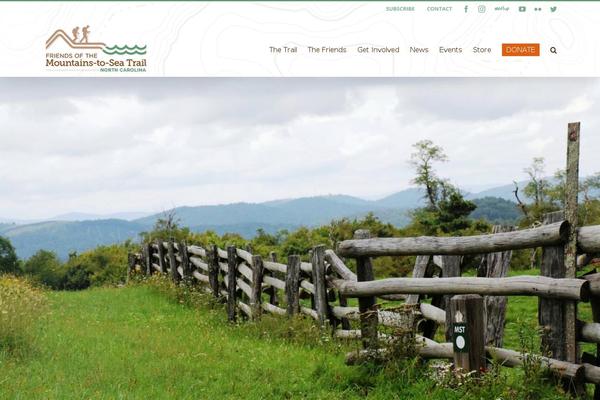 Mst theme site design template sample