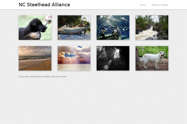 Blogfolio theme site design template sample