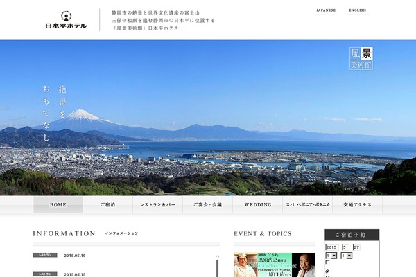 Site using Autoptimize plugin