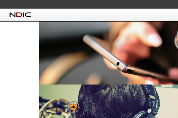 Ndic theme site design template sample