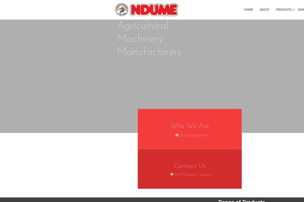 Punte theme site design template sample