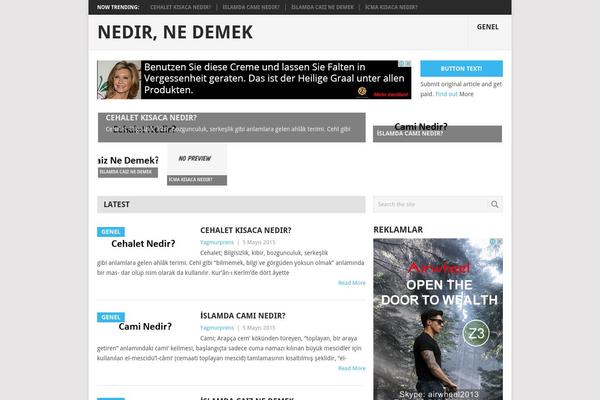 Point theme site design template sample