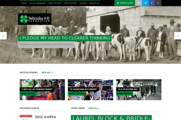 Site using SVG Support plugin