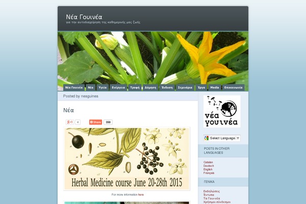 Site using Google Maps Ready! plugin