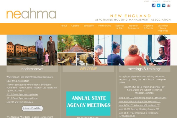 Ne theme site design template sample
