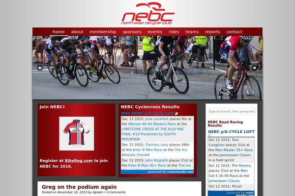 Site using Custom Team Manager plugin