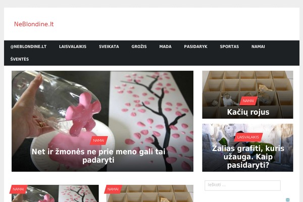 Trident Lite theme site design template sample