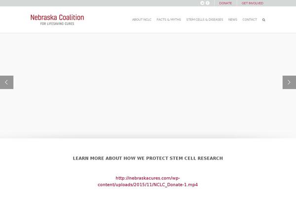 Avada Child Theme theme site design template sample