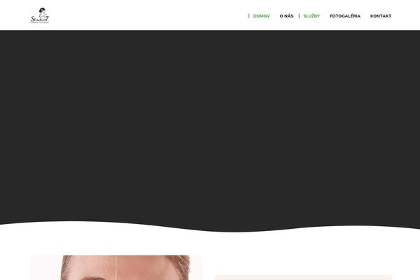 SEOCrawler theme site design template sample
