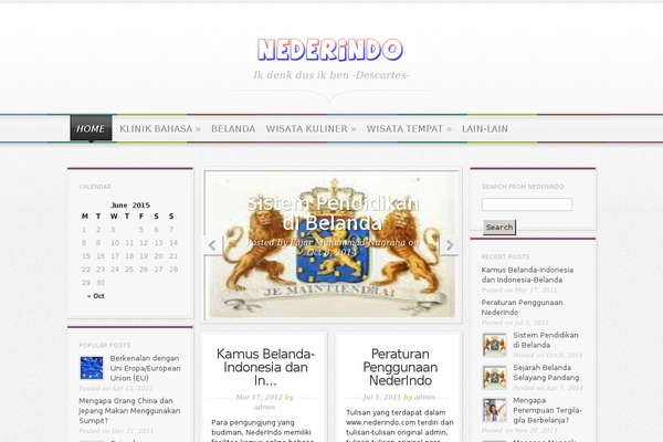 Magnificent theme site design template sample