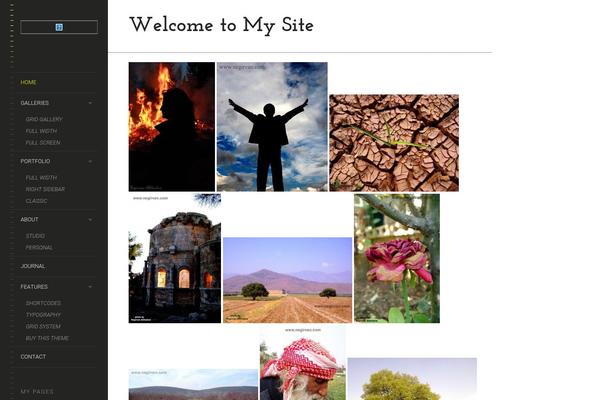 LENS theme site design template sample