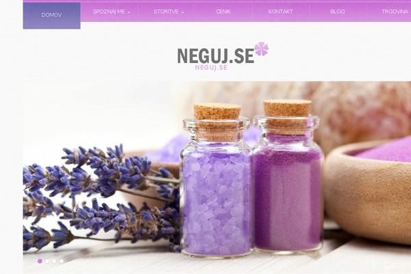 Site using Thegem-elements-elementor plugin