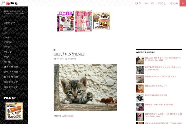 Site using All in One SEO Pack plugin