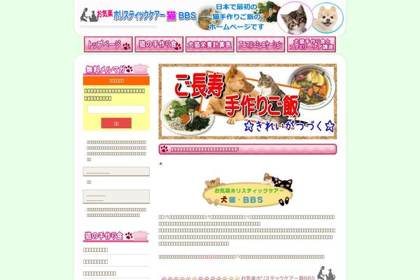 Jin-child theme site design template sample