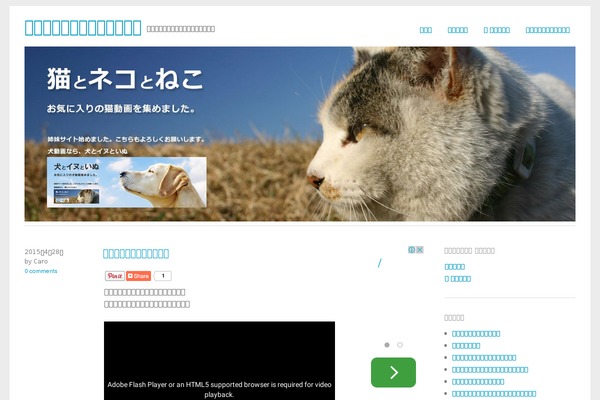 Yoko theme site design template sample