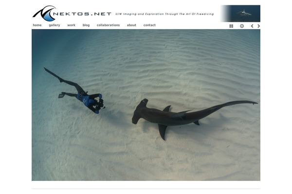 Photography theme site design template sample