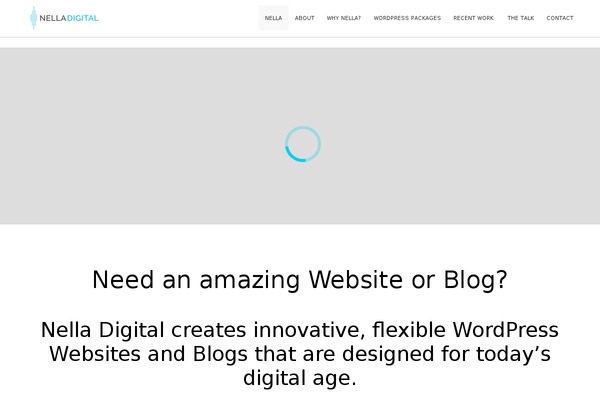 Site using Dms-plugin-pro plugin