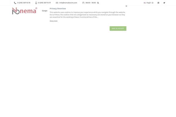 Ekko theme site design template sample
