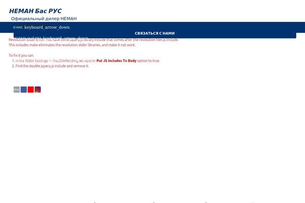 nemanbus.ru site used Zephyr