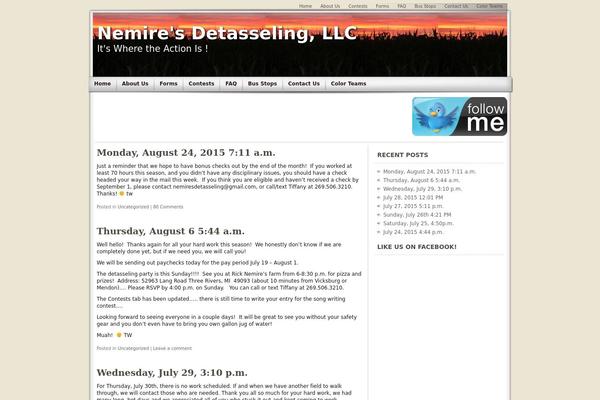 Site using Flash MP3 Player plugin