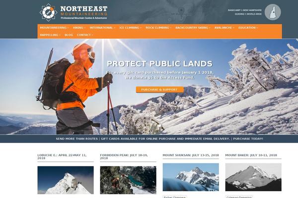 Flat Theme theme site design template sample